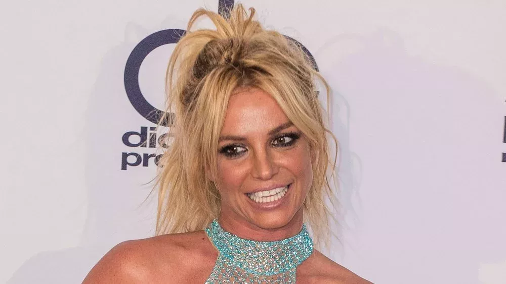 Britney Spears im Buchformat: Schockierende Wahrheiten und Geldregen?