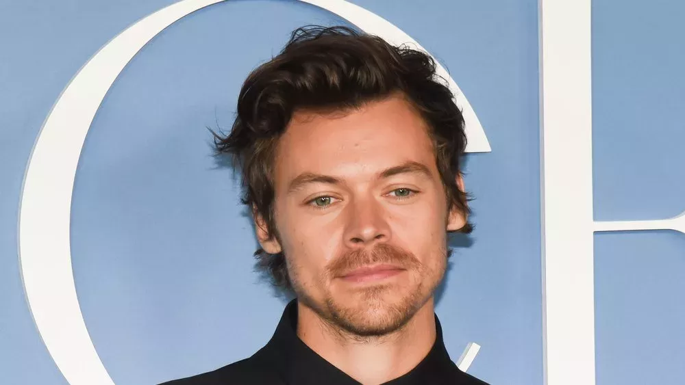 Singt Harry Styles den nächsten James-Bond-Song?