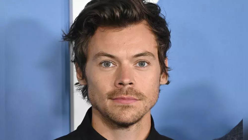 Harry Styles bringt erotische Düfte auf den Markt