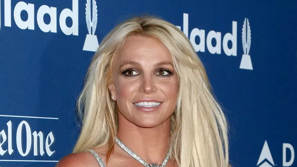 Britney Spears veröffentlicht erstes Statement zur Scheidung