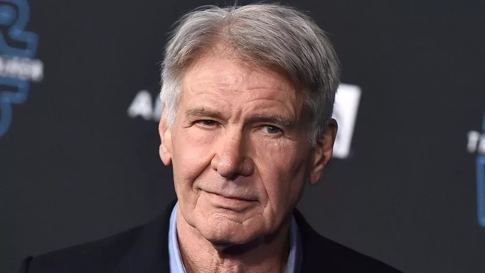 Hollywood-Streik: Harrison Fords Stuntdouble zündet sich an