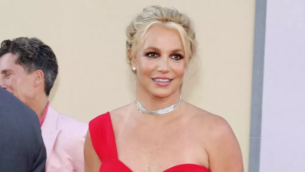 Britney Spears wird "niemals in die Musikindustrie zurückkehren"
