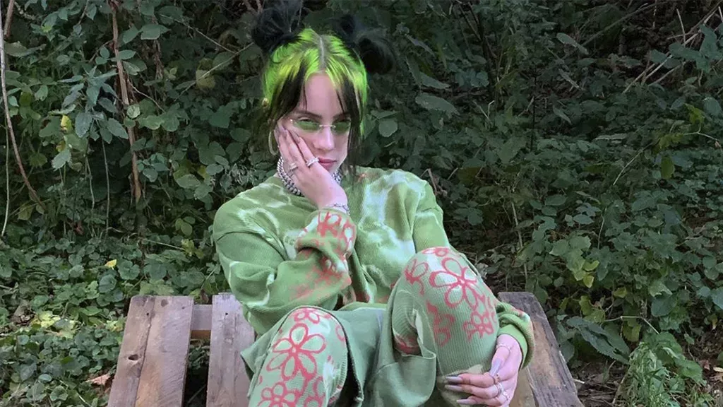 Billie Eilish setzt sich für die Umwelt ein