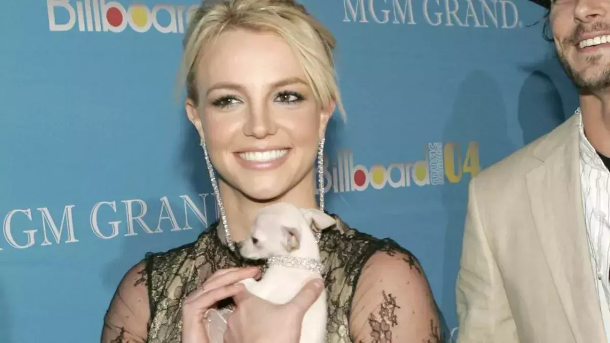 Britney ist wieder mit ihren Hunden vereint