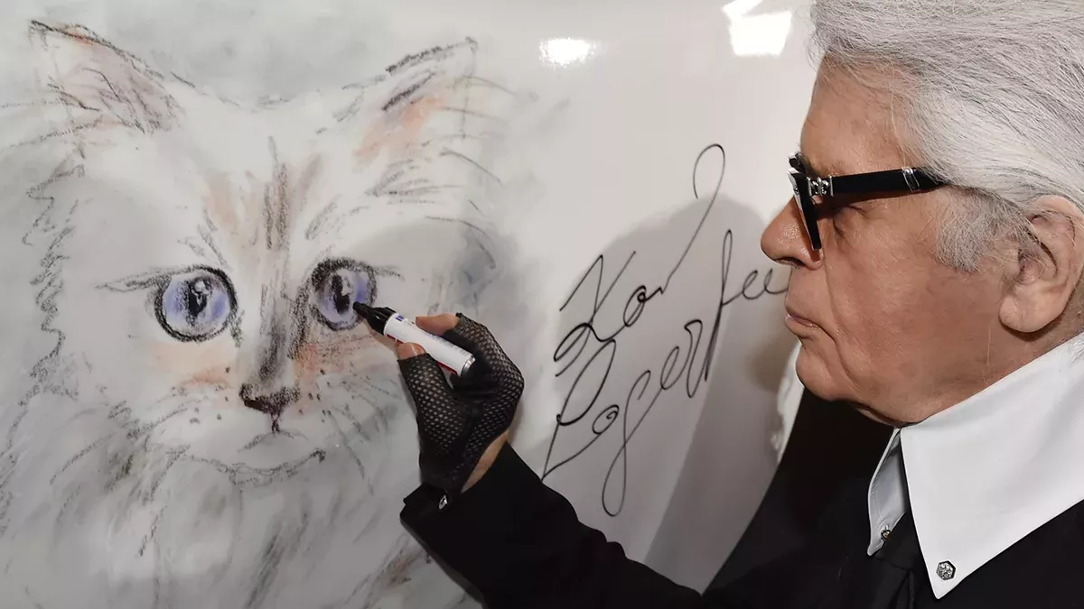 Choupette: So geht es Karl Lagerfelds Katze heute