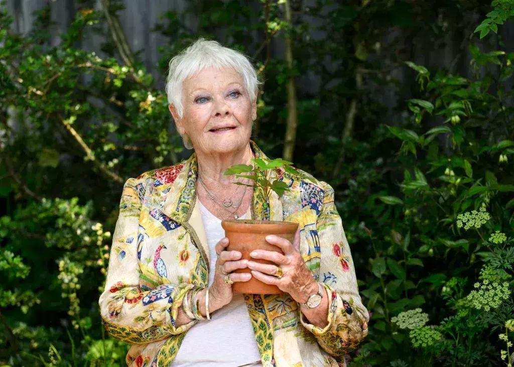 Judi Dench: Wie ihr dramatischer Sehverlust ihr Leben verändert