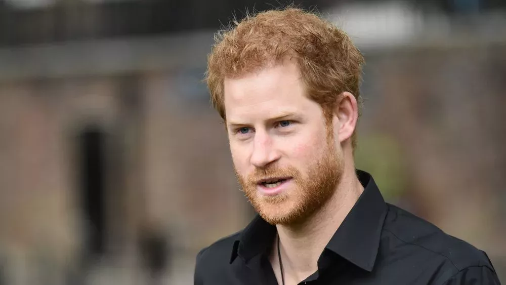 Prinz Harry: So engagiert er sich im Naturschutz in Afrika