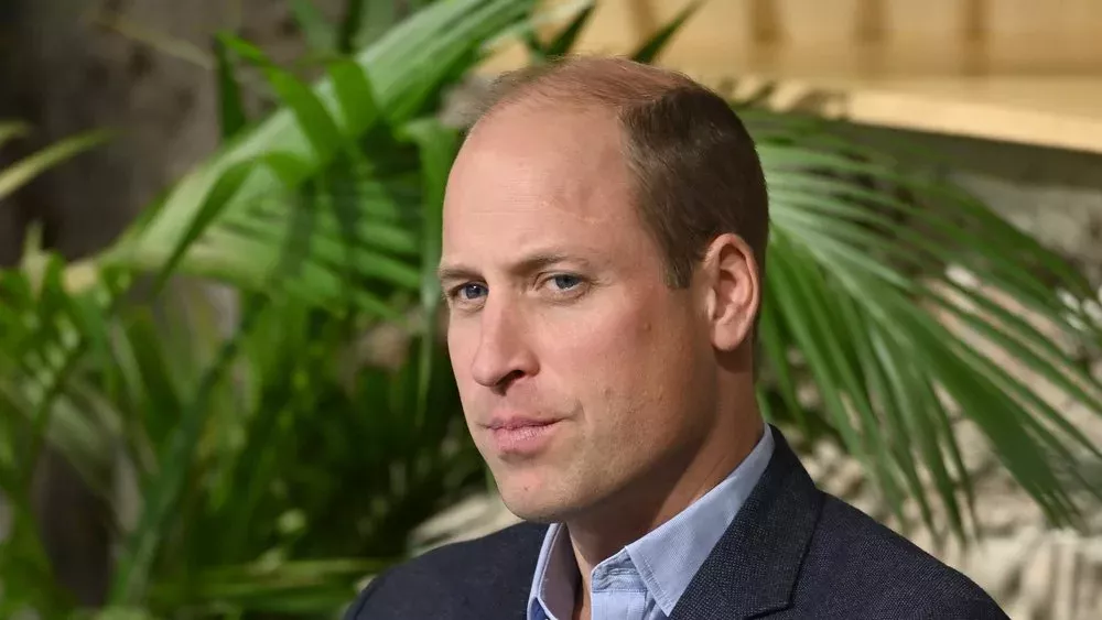 Darum bekommt Prinz William ein "Grünes Abzeichen" von einer Kindersendung