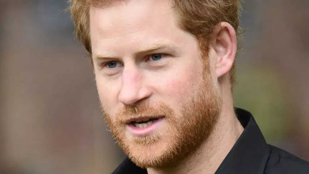 "Wirklich einzigartig": Prinz Harry schwärmt in höchsten Tönen von Japan