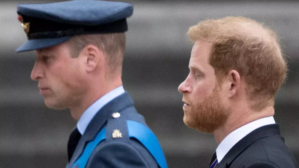 Wunsch der Queen: William und Harry sollten in Afghanistan kämpfen