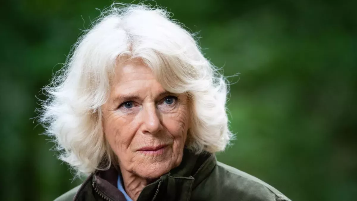 Diana-Fans hetzen gegen Camilla