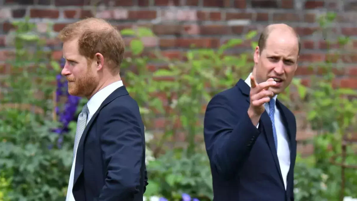 Harry und William Körpersprache analysiert