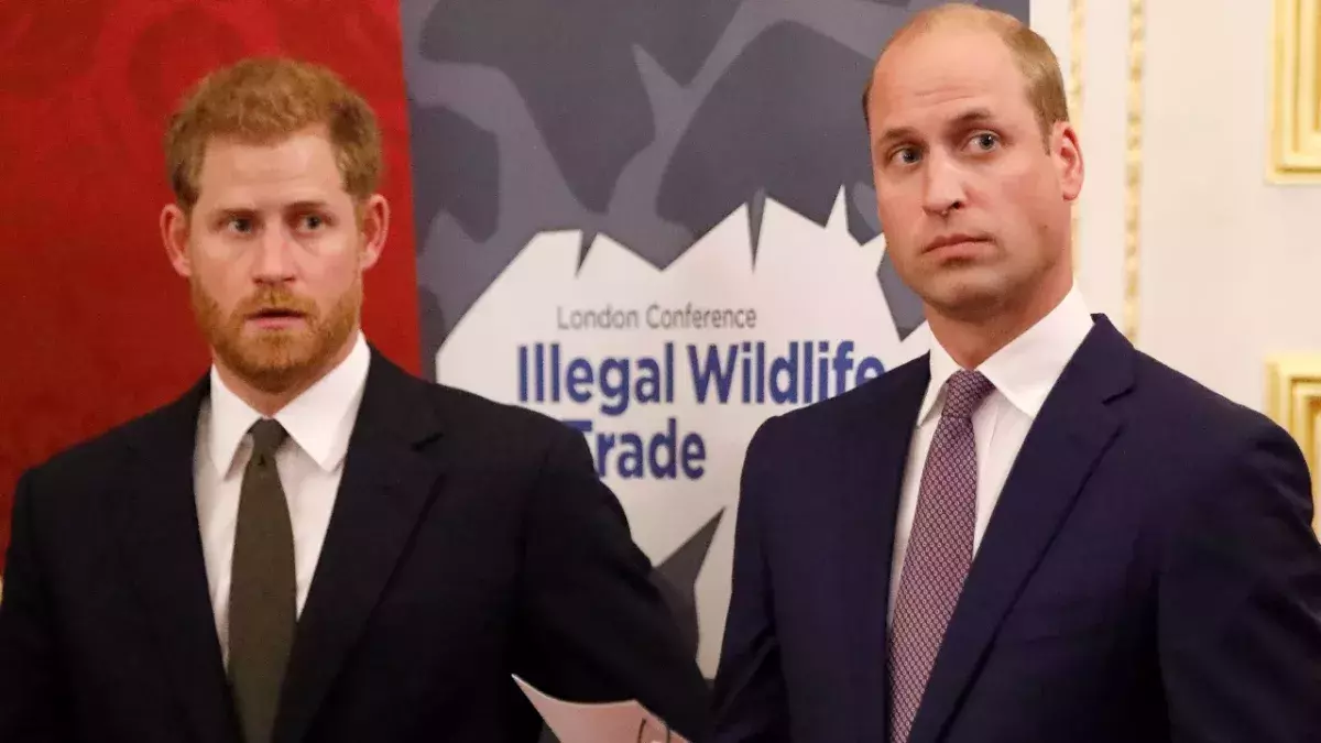 Neue Enthüllungen über die Royals-Brüder: Was ist der wahre Grund ihrer Entzweiung?