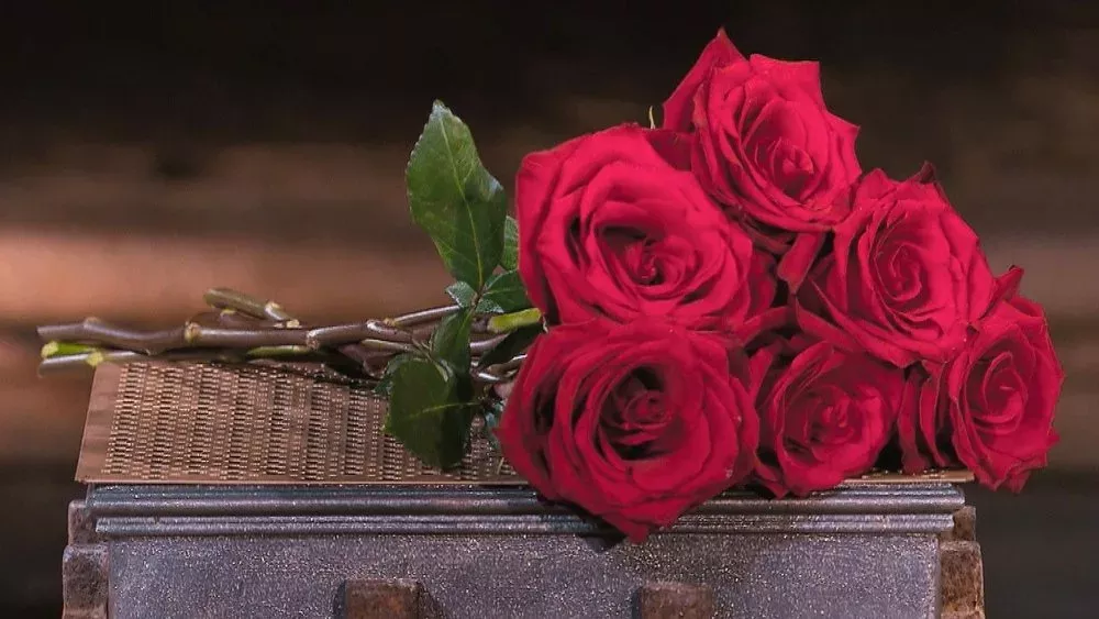 Kommt ein "Bachelor"-Spin-off für Senioren auch nach Deutschland?