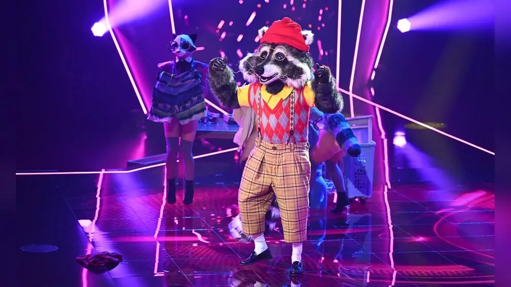 Dieser Star war der Waschbär bei "The Masked Singer"
