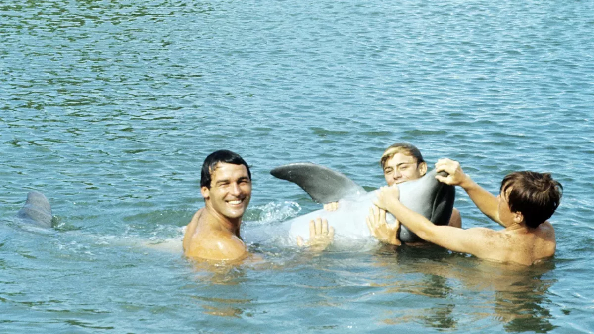 Flipper, Lassie und Co: So erging es den tierischen Helden unserer Kindheit nach den Dreharbeiten