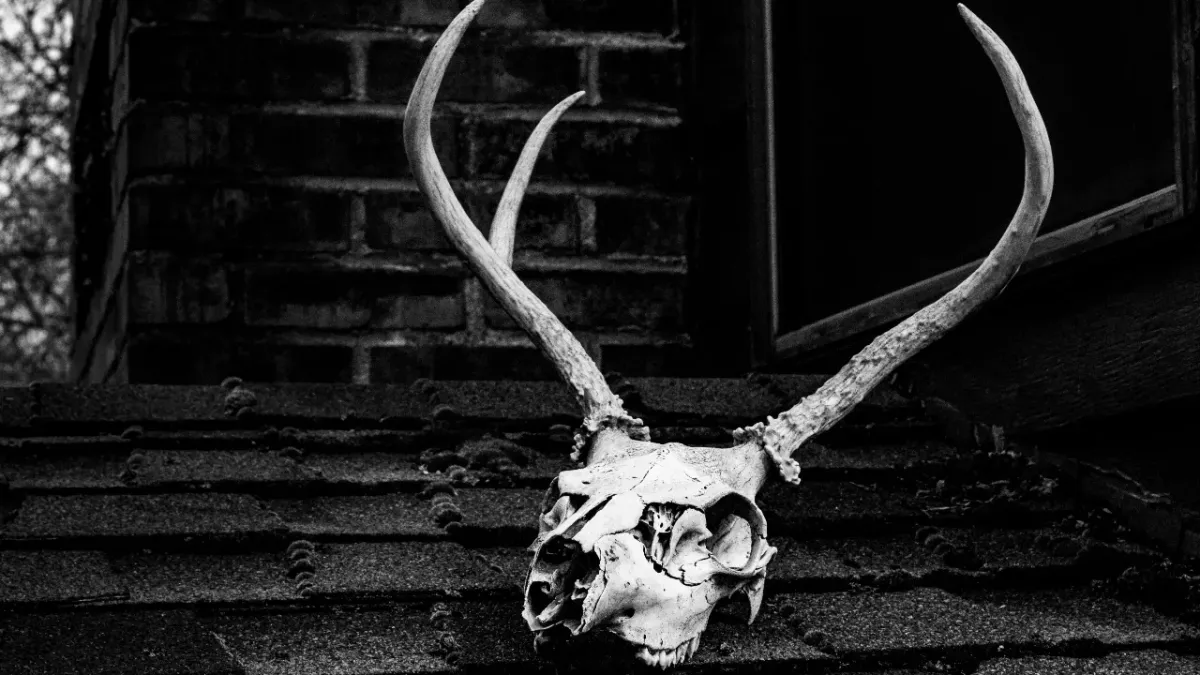 Skull and Bondes, Studentenverbindung, USA, Geheimgesellschaft, Verschwörungstheorie