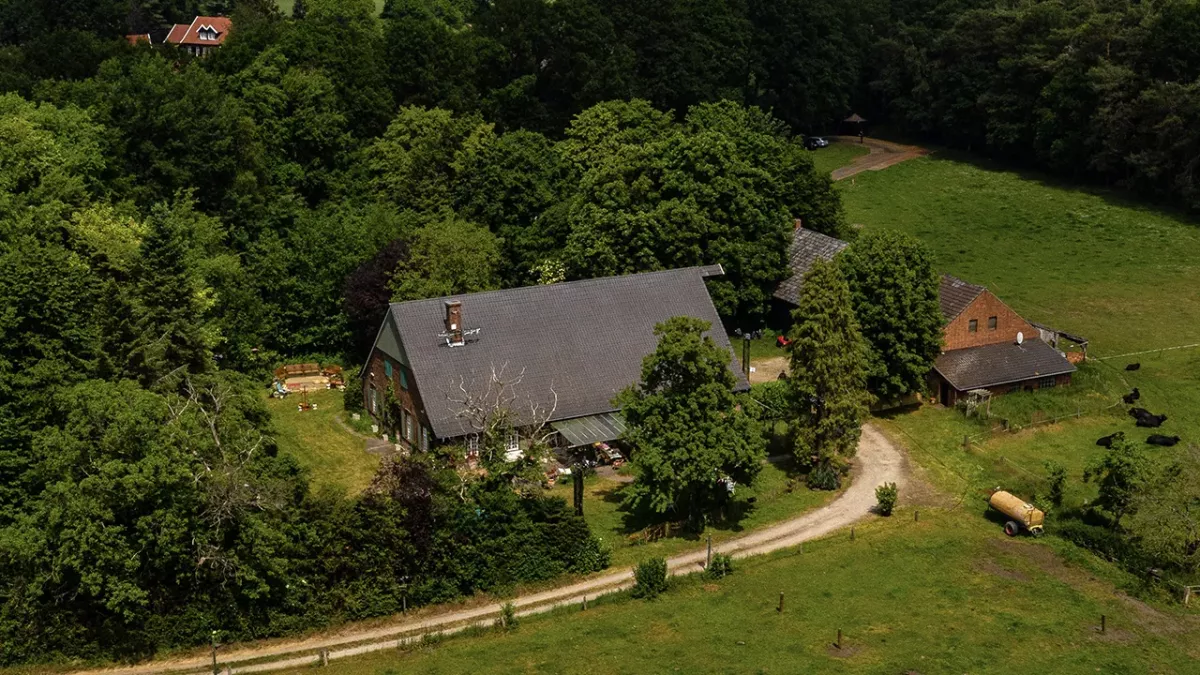 "Sommerhaus der Stars": Dieses Paar gewinnt das Finale!