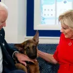 Nach Beißattacken: Joe und Jill Biden haben Hund Commander weggegeben