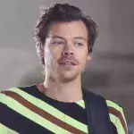 Radikaler Haarschnitt: Fans trauern um Harry Styles' Locken