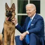 Deshalb schmeißt US-Präsident Joe Biden seinen Hund aus dem Weißen Haus