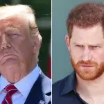"Würde ihn nicht beschützen": Donald Trump teilt gegen Prinz Harry aus