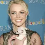 Britney ist wieder mit ihren Hunden vereint