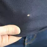 Löcher im T-Shirt: Das ist der Grund