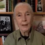 Jane Goodall macht unsere Lebensweise für Corona-Pandemie verantwortlich