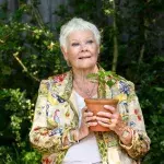Judi Dench: Wie ihr dramatischer Sehverlust ihr Leben verändert