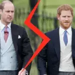 Eiszeit bei den Royals: Brüder William und Harry gehen auf Distanz und das hat einen Grund