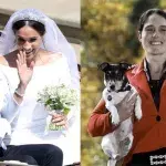 Engländerin stellt Hochzeit mit ihren Hunden nach. Manche schäumen vor Wut!