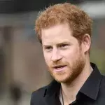 Prinz Harry: So engagiert er sich im Naturschutz in Afrika