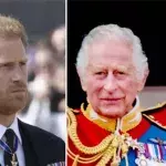 Besuch von Prinz Harry: William und Charles zeigen ihm kalte Schulter
