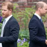 Enthüllung von Lady Dianas Statue: So verhalten sich William und Harry