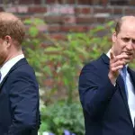 Harry und William Körpersprache analysiert