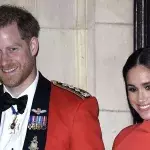 Harrys Rückkehr nach England