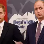 Neue Enthüllungen über die Royals-Brüder: Was ist der wahre Grund ihrer Entzweiung?