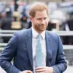 Prinz Harry bei Videokonferenz: Ein kleines Detail, das nicht unbemerkt blieb