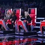 "The Voice of Germany": Spannende Fakten zu den Coaches