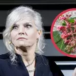 Ina Müller heilt schlimme Krankheit mit zweifelhafter Bachblüten-Therapie