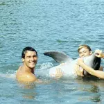 Flipper, Lassie und Co: So erging es den tierischen Helden unserer Kindheit nach den Dreharbeiten