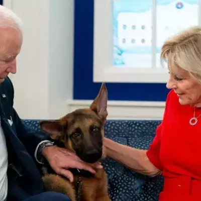 Nach Beißattacken: Joe und Jill Biden haben Hund Commander weggegeben
