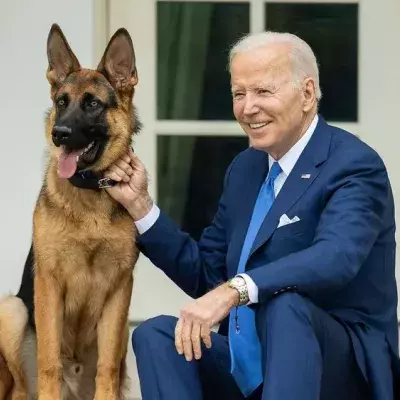Deshalb schmeißt US-Präsident Joe Biden seinen Hund aus dem Weißen Haus