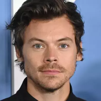 Harry Styles bringt erotische Düfte auf den Markt