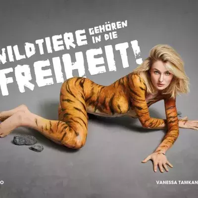 Ex-"GNTM"-Kandidatin Vanessa Tamkan wirbt als Tiger für Peta