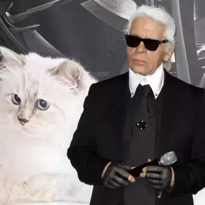 Kommt Karl Lagerfelds Katze Choupette zur Met Gala?