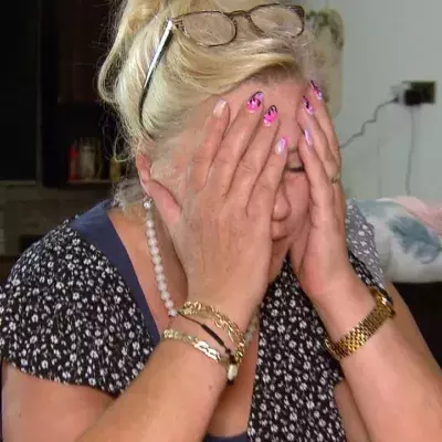 Silvia Wollnym Die Wollnys, Hartz 4