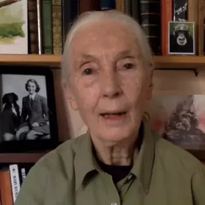 Jane Goodall macht unsere Lebensweise für Corona-Pandemie verantwortlich