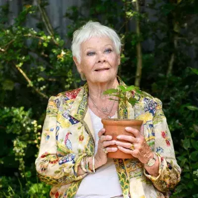 Judi Dench: Wie ihr dramatischer Sehverlust ihr Leben verändert